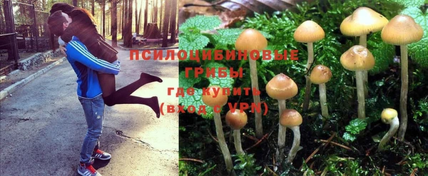 МДПВ Богородск